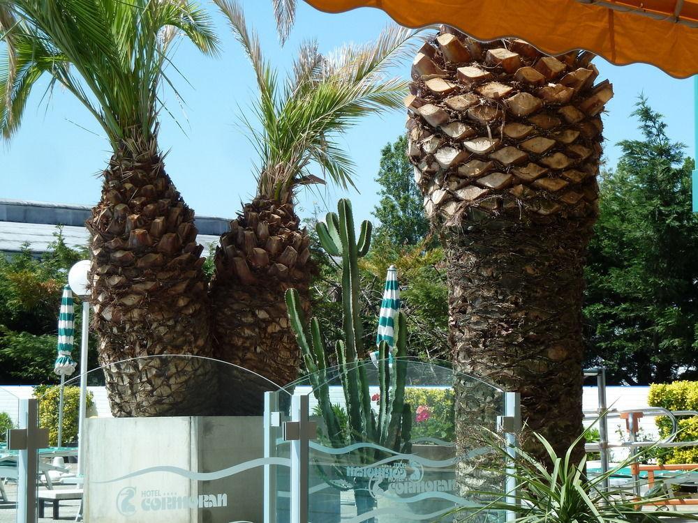 Hotel Cormoran Riccione Luaran gambar